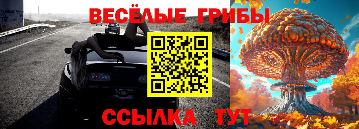 Галлюциногенные грибы Psilocybe Учалы